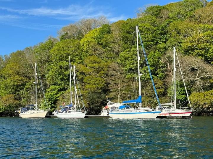 Cruisers on a trip up the Truro River in May 2024